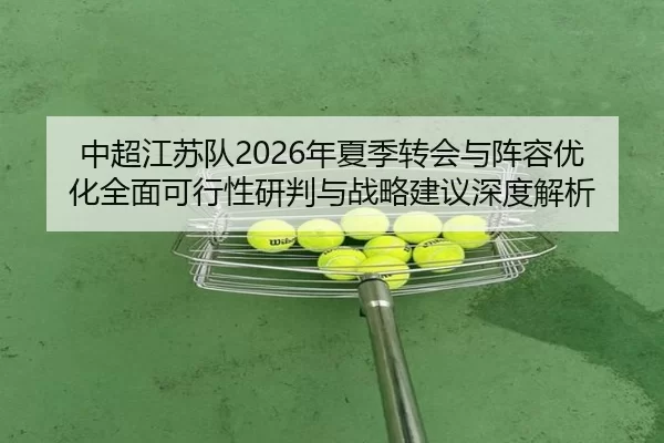 中超江苏队2026年夏季转会与阵容优化全面可行性研判与战略建议深度解析
