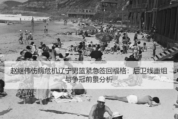 赵继伟伤病危机辽宁男篮紧急签回福格：后卫线重组与争冠前景分析